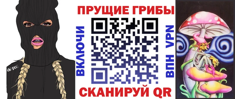 Купить закладки  Химки  Галлюциногенные грибы Psilocybine cubensis 