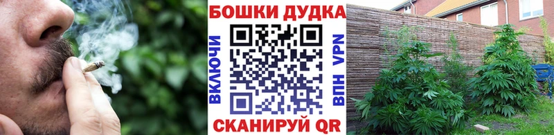 МАРИХУАНА конопля  Купить где  Химки 